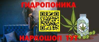 метадон Гусев