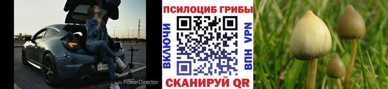 хочу наркоту  Нижнекамск  Галлюциногенные грибы ЛСД 