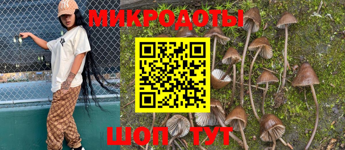 Галлюциногенные грибы Psilocybe  Галлюциногенные грибы GOLDEN TEACHER  Нижнекамск 