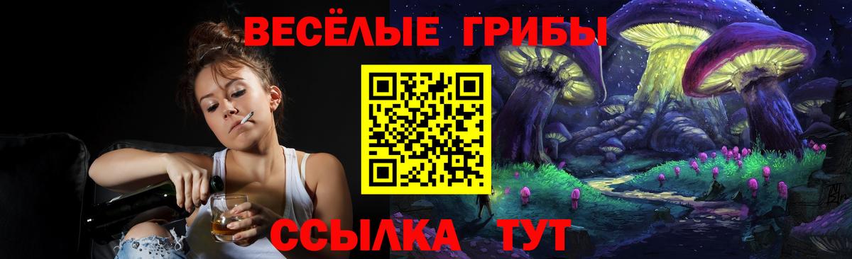 Нижнекамск  Галлюциногенные грибы мицелий  Вход с VPN 